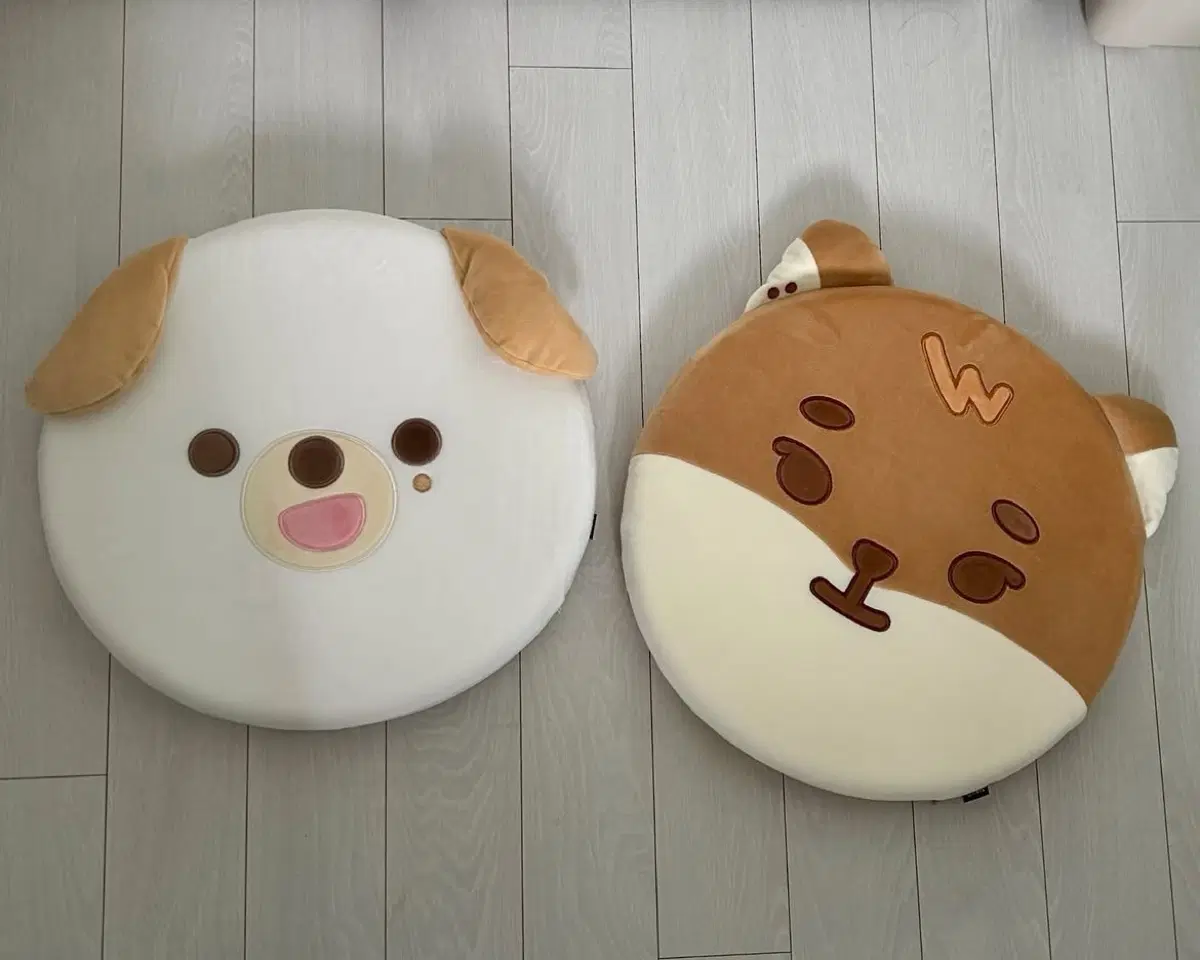 데이식스 쁘띠멀즈 케 돈 방석