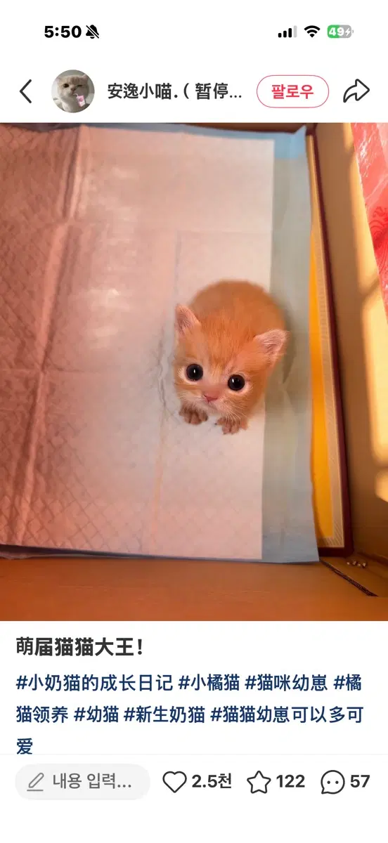 메모지