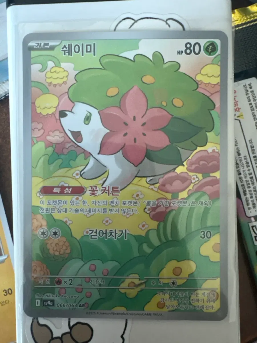 포켓몬 카드 쉐이미 ar