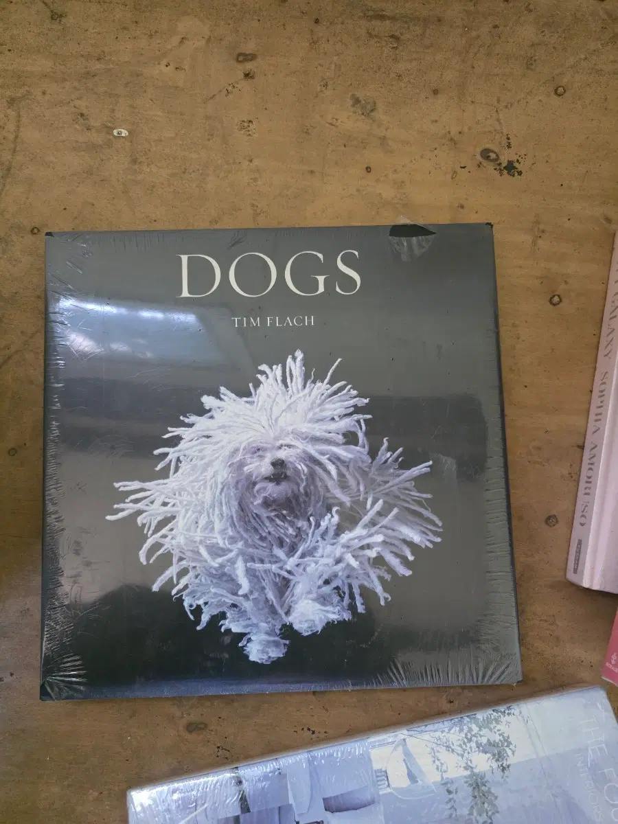 (2010년) 미개봉 Dogs by Tim Flach 도그 포토그래퍼 빈티지책 희귀책 수집책 반려견