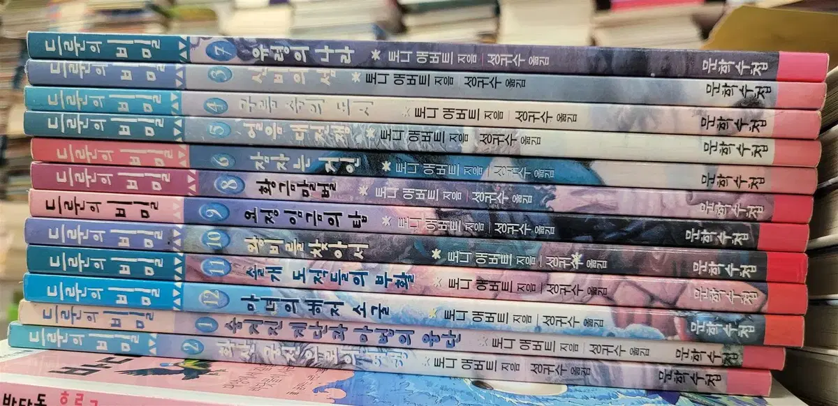 드룬의 비밀 문학수첩 12권 세트 어린이책 중고책