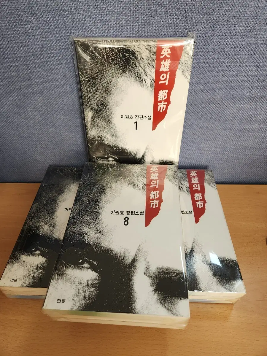 영웅의 도시 1-10 완결
