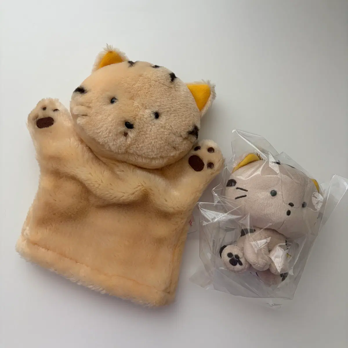 타마와 친구들 호야 인형 일괄양도