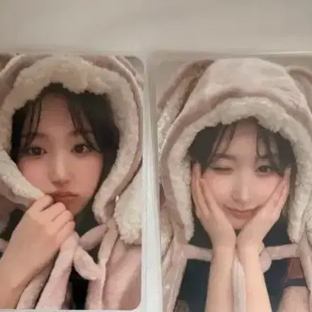 해원 포카