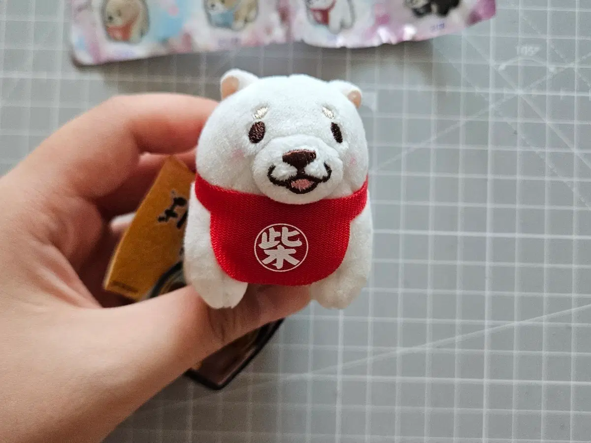 유원 모찌 시바 인형 가챠(가챠)