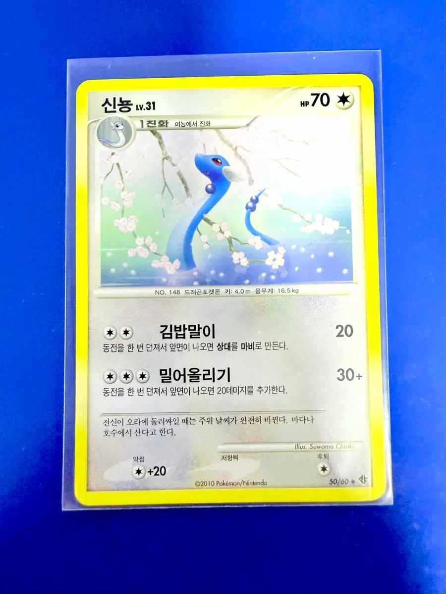 포켓몬카드 2010년 고대카드 신뇽 카드
