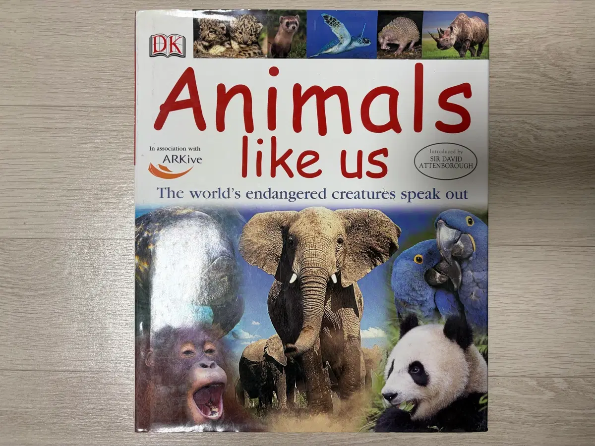 외국 유아동 도서) Animals like us