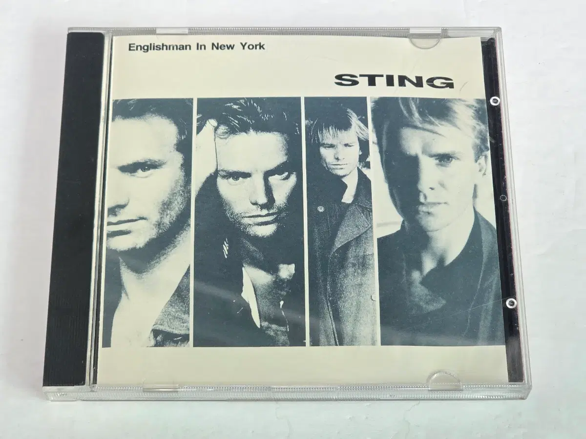 스팅 (Sting) - Englishman In New York
