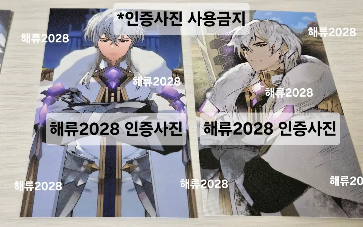 로드오브히어로즈 로오히 카르티스 포토카드 2장 일괄