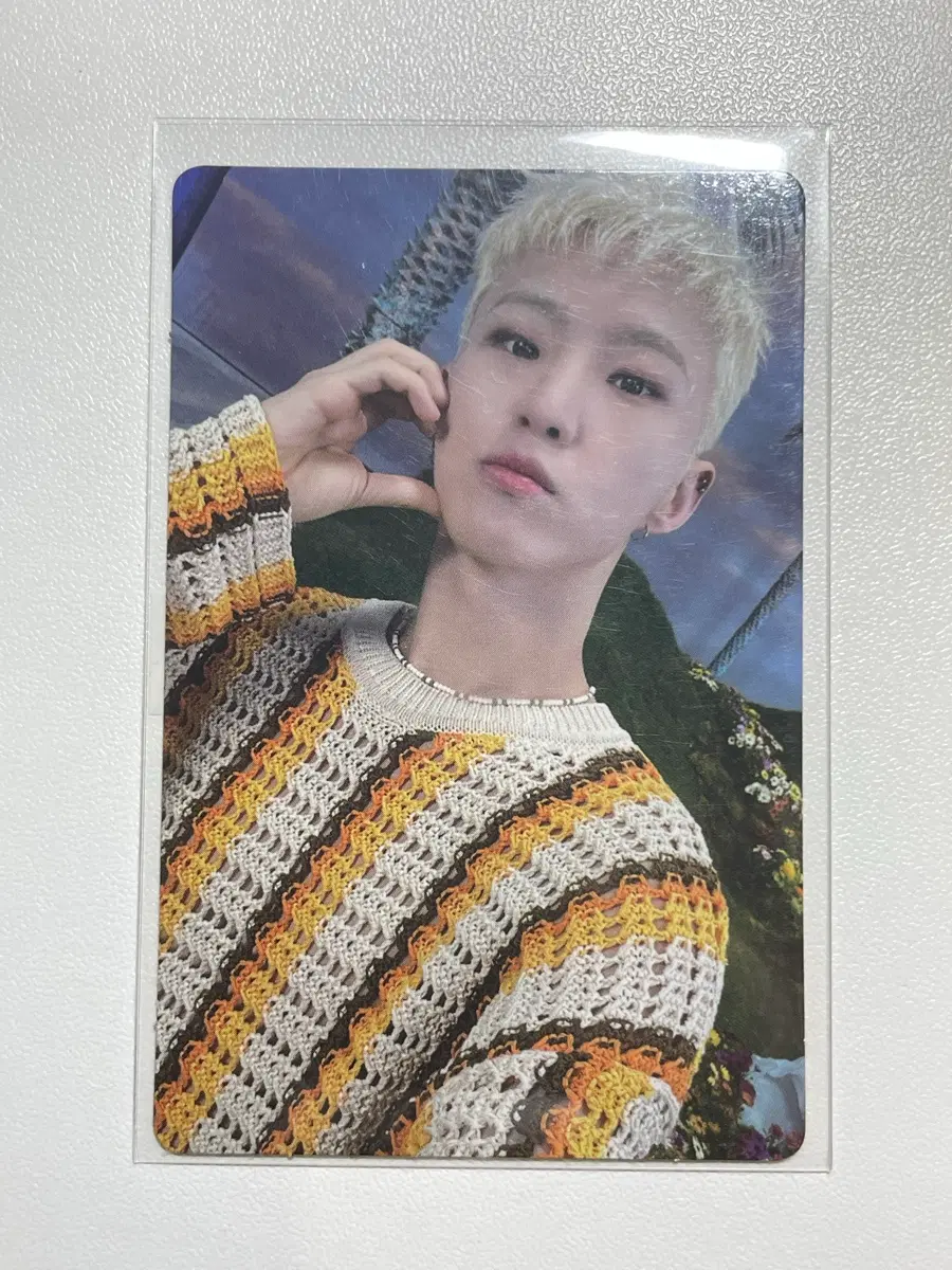 세븐틴 호시 섹터 포카