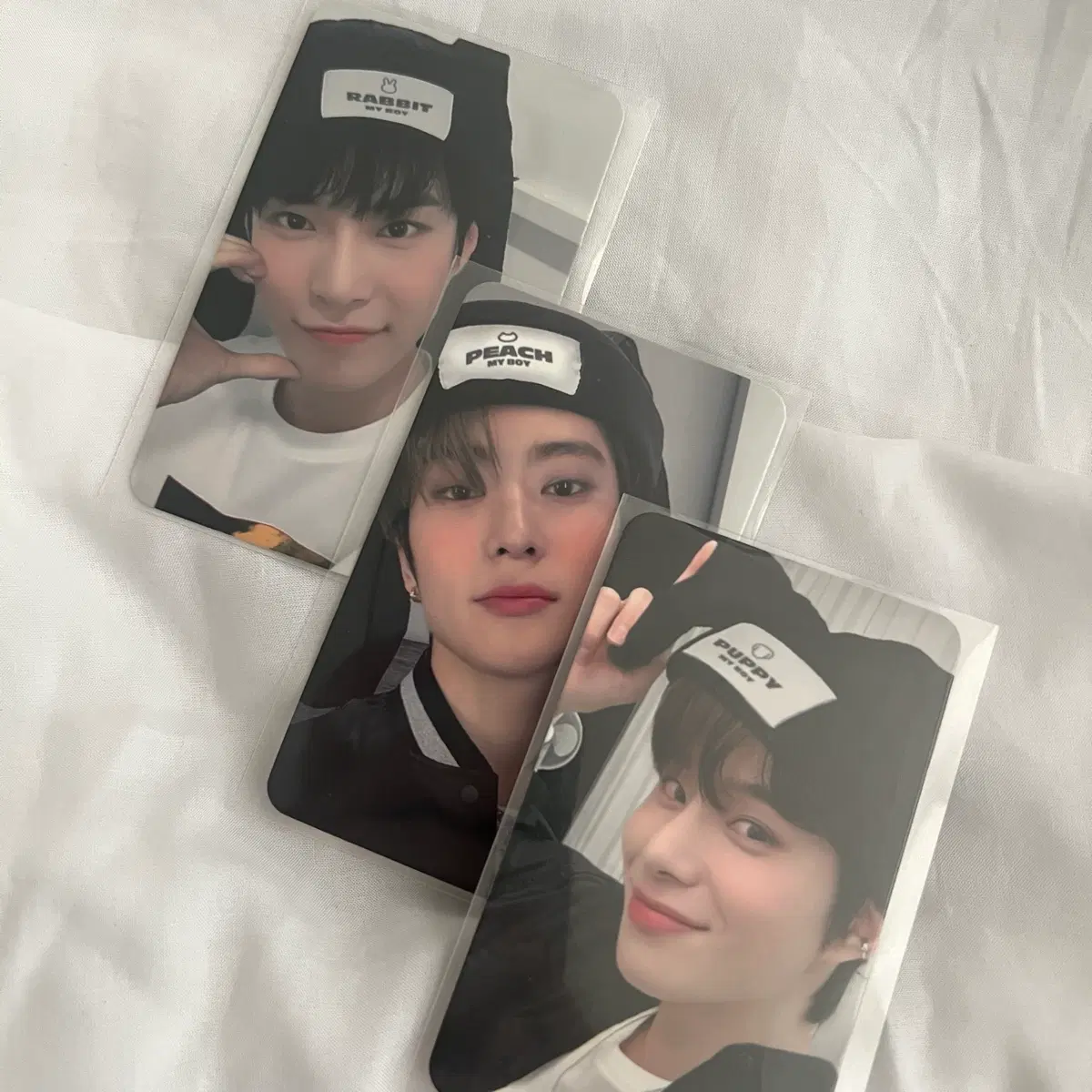 도재정 현시님 특전 일괄