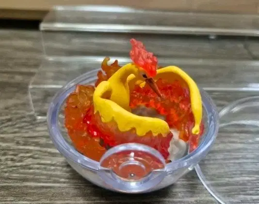 (단종희귀리멘트) 포켓몬 파이어 테라리움