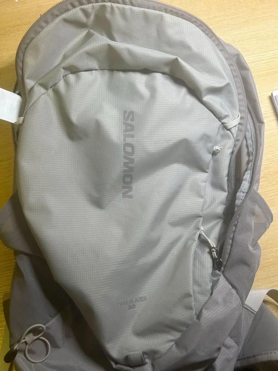 살로몬 백팩 20L