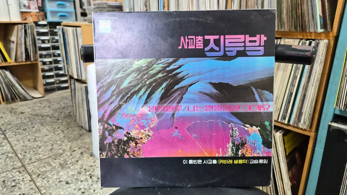 사교춤 지루박 / 캬바레 생음악 교습용