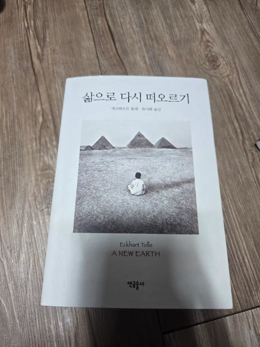 삶으로 다시 떠오르기 에크타르트 톨레