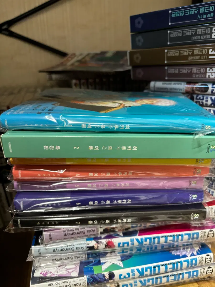 히카루가 죽은 여름 올초판