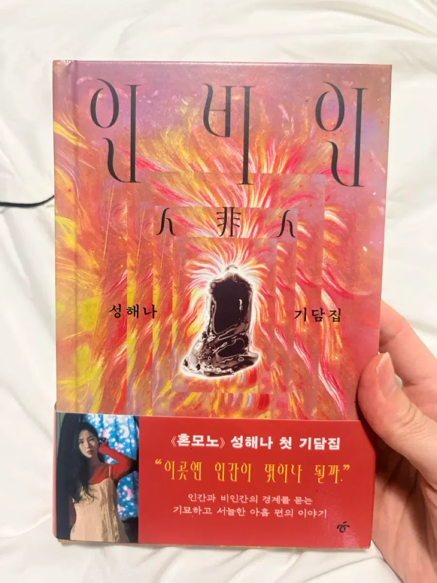 성해나 첫기담집 인비인