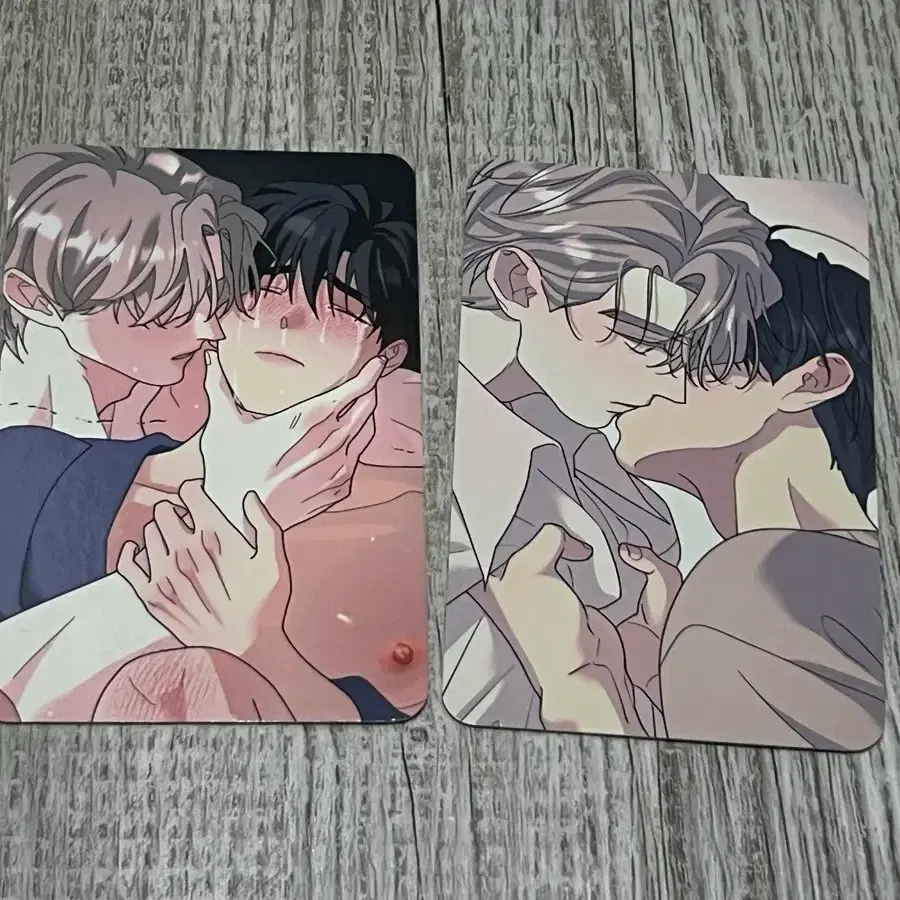 살롱드르봉 레봄 뿌리없는나무 뿌리 없는 나무 포카 세트