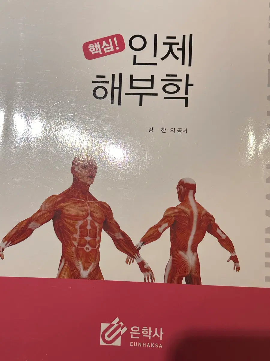은학사 인체해부학