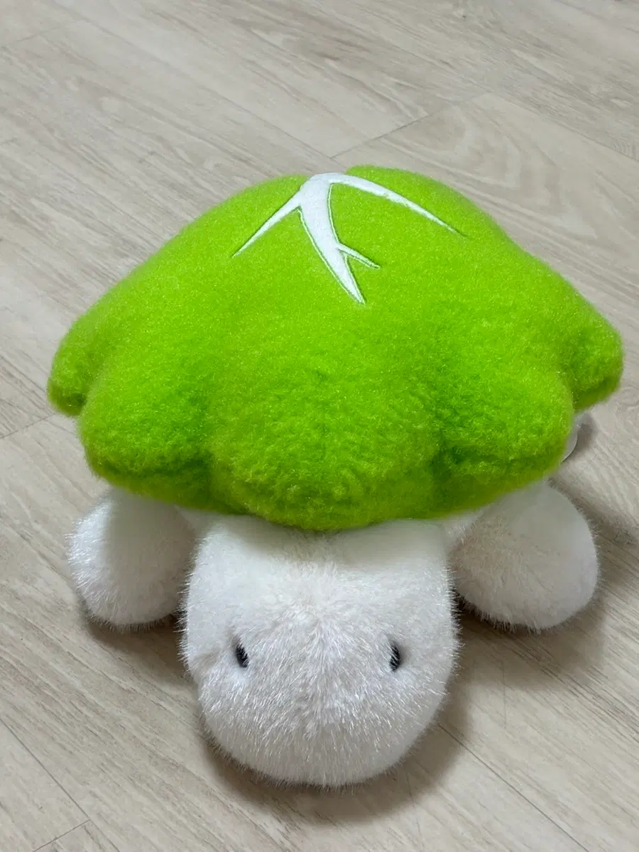 샤브샤브 거북이 샤부샤부거부기 알배추 25cm 인형 뽑기 키덜트