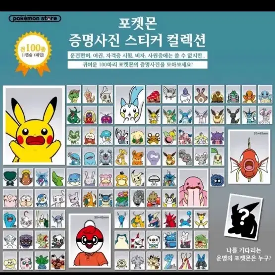 포켓몬 증명사진 1,2탄 전종 풀 세트