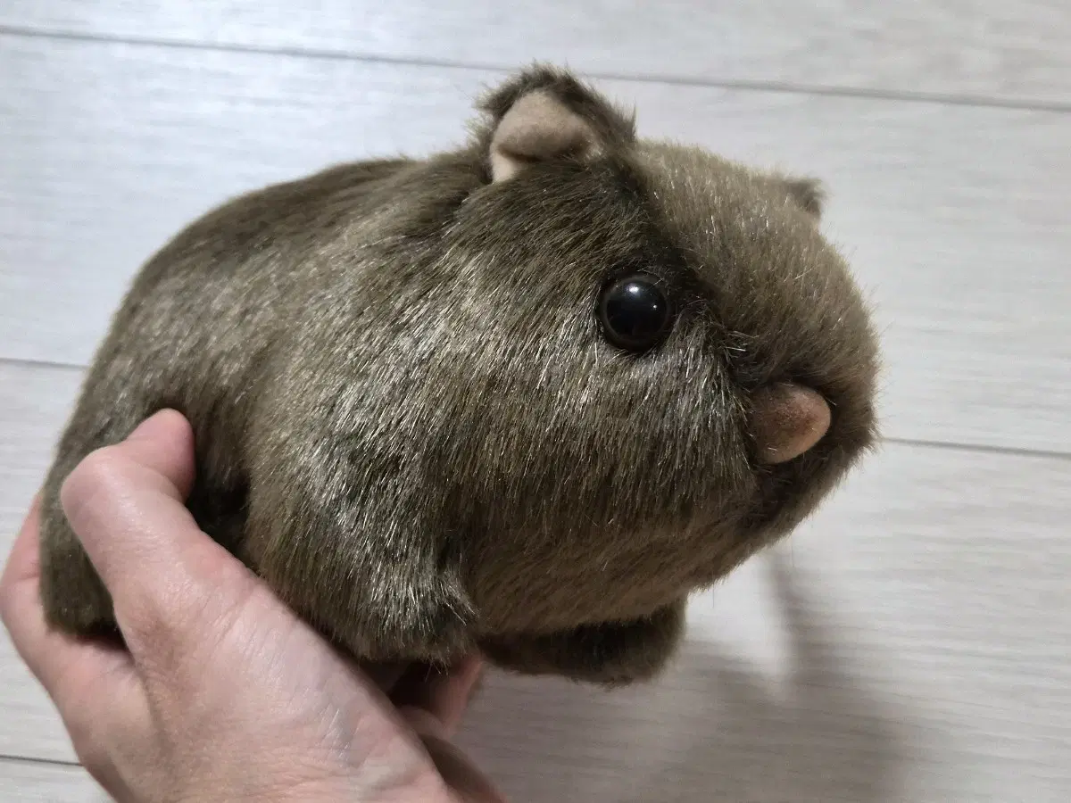 호주산 웜뱃 인형