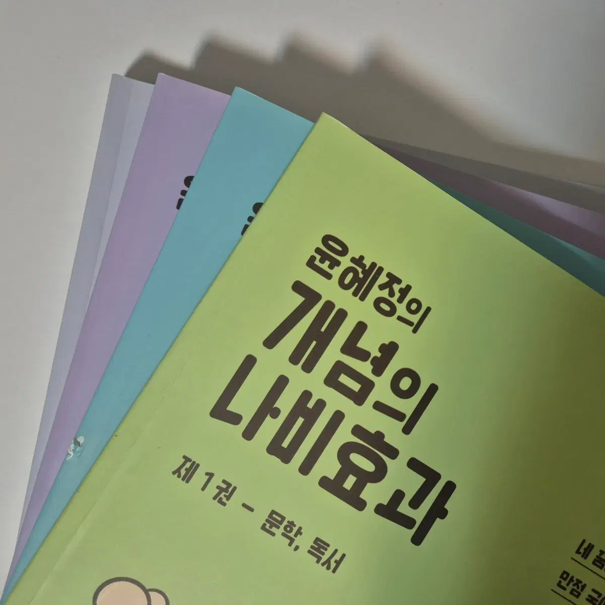 윤혜정 개념의 나비효과 2025 + 패턴의 나비효과 + 기출의 나비효과