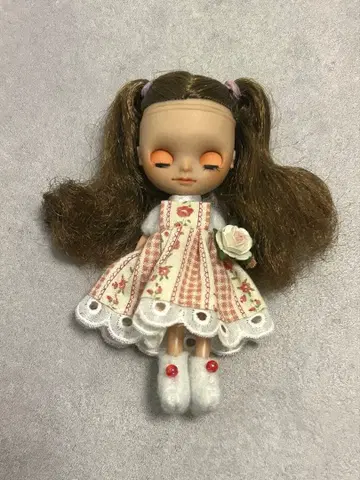 미니 브라이스 커스텀 본체