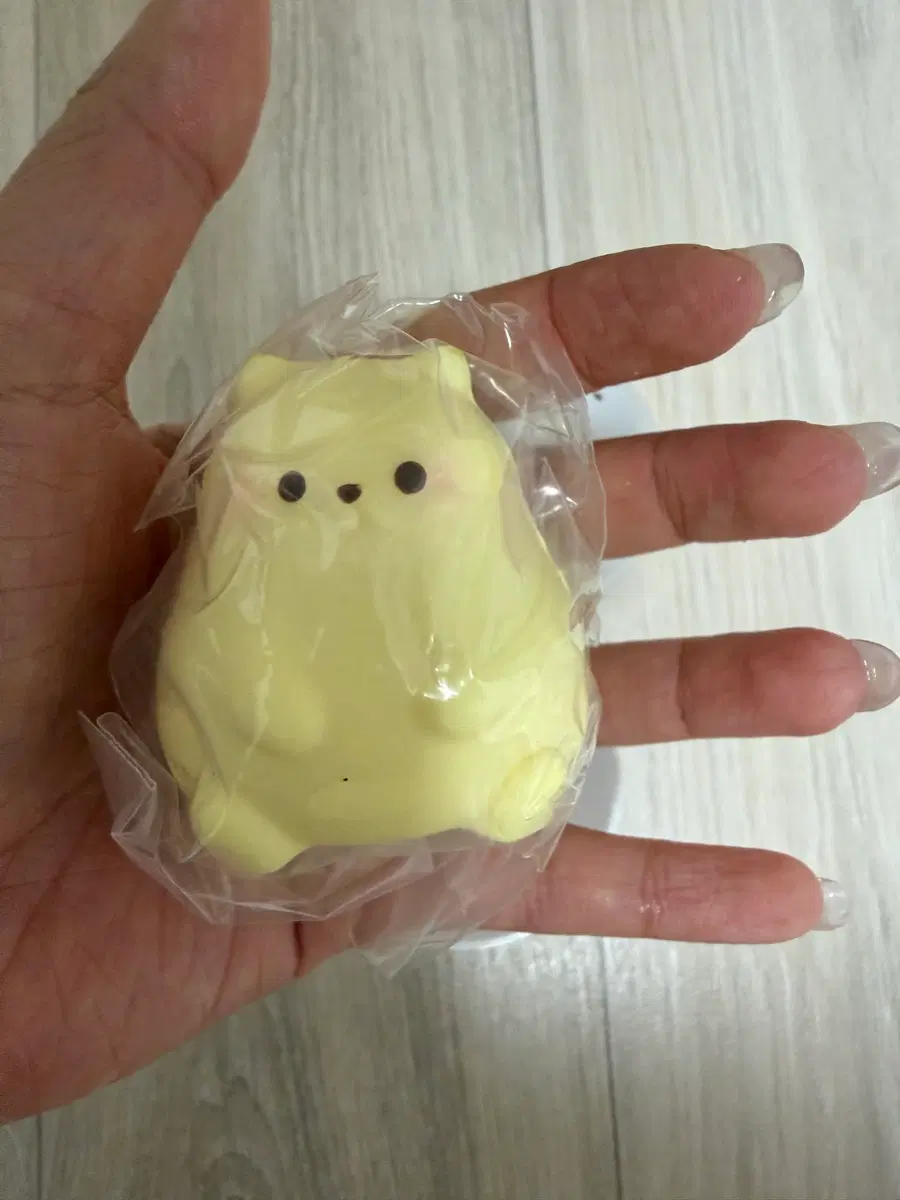 아이블룸 곰돌이 스퀴시