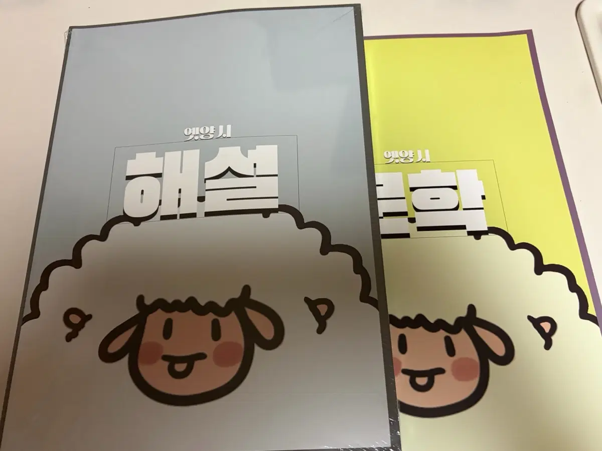 옛양시 2027 일괄
