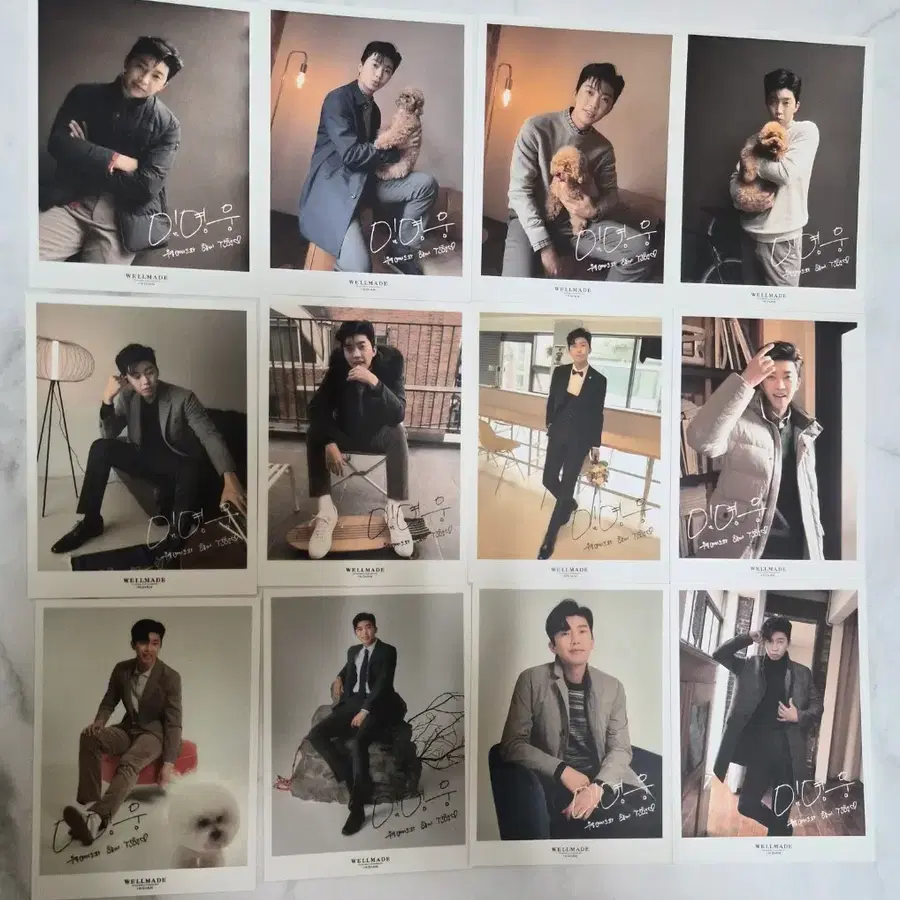 임영웅 웰메이드 포토카드 12장