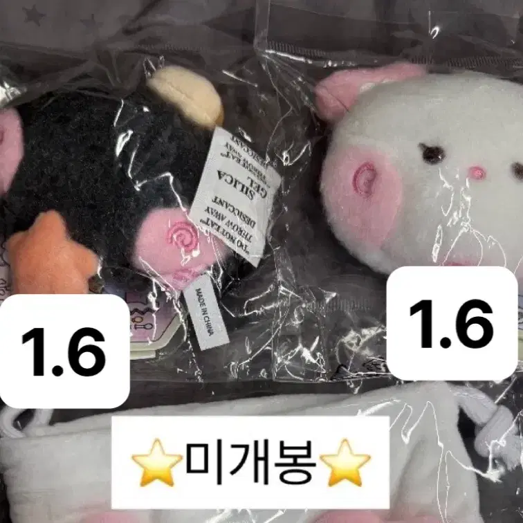 엔시티위시 라인프렌즈 팝업 위시니니 양도 쿠리 팡이 사쿠야 리쿠 위시돌 줄자