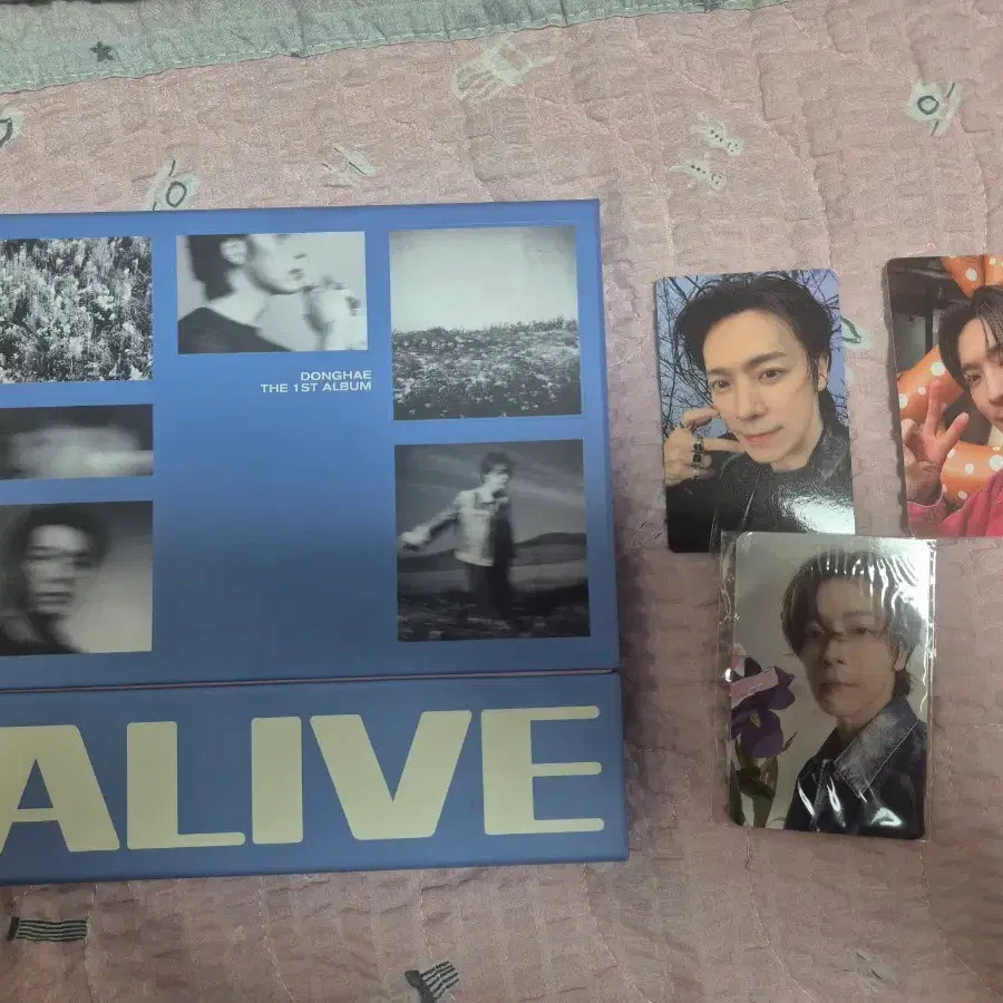 동해 The 1st Album ALIVE 포토카드 포함