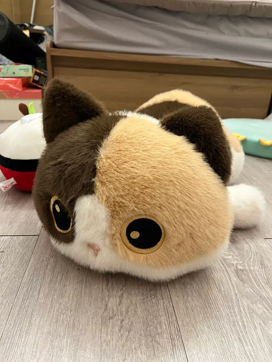 고양이 대형 인형