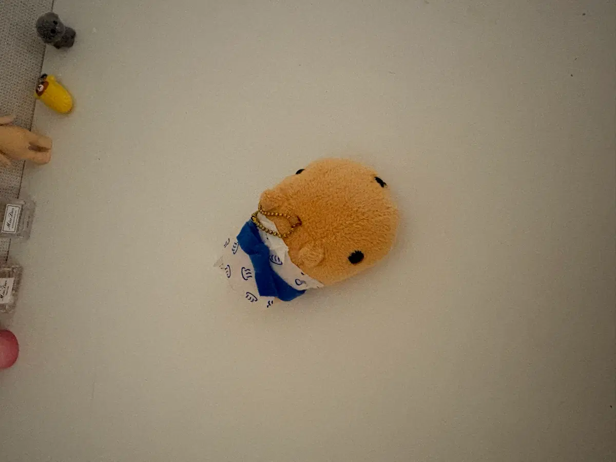 카피바라 기니 온천 인형 양도