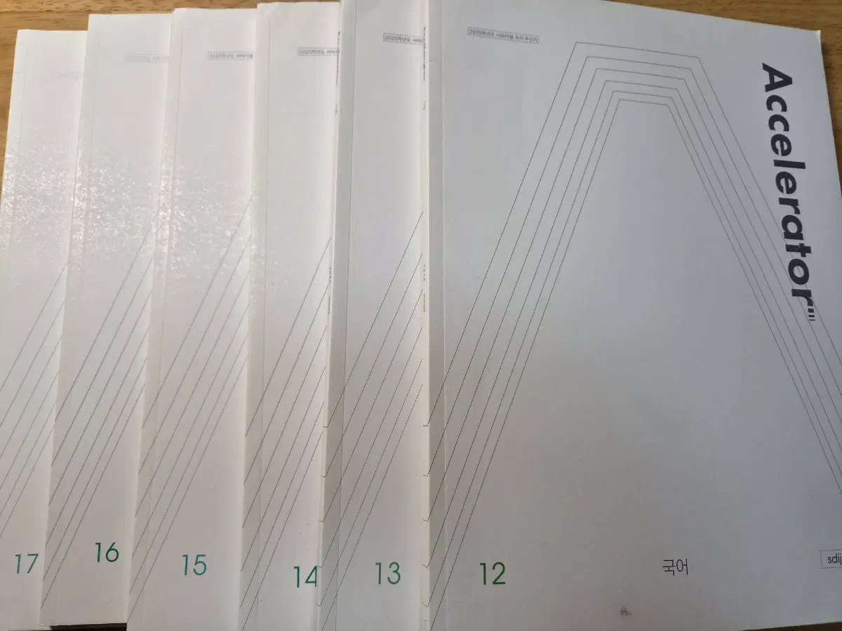 2025 시대인재 국어 엑셀러레이터 주간지 12~17