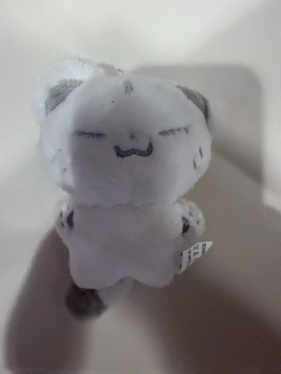 호시 권순영 인형