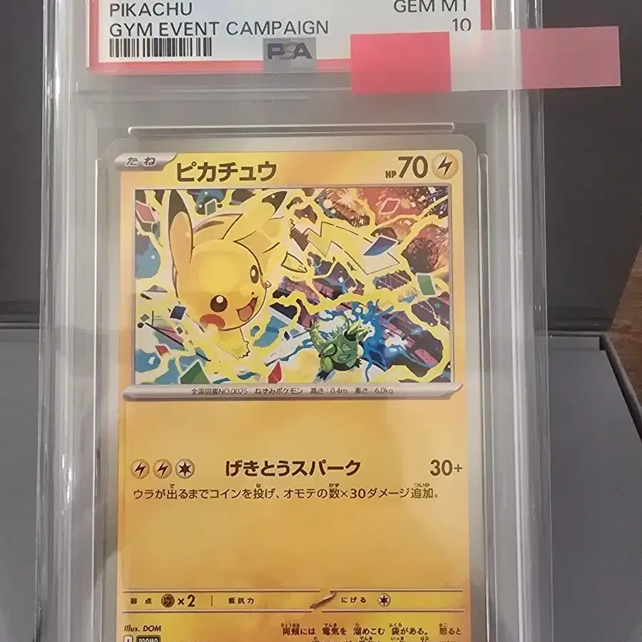 2025 포켓몬 카드 피카츄 짐 이벤트 캠페인 PSA 10