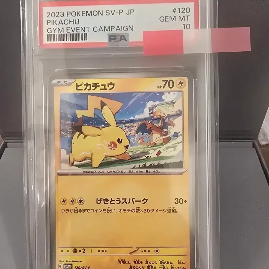 2023 포켓몬 카드 피카츄 짐 이벤트 캠페인 PSA 10