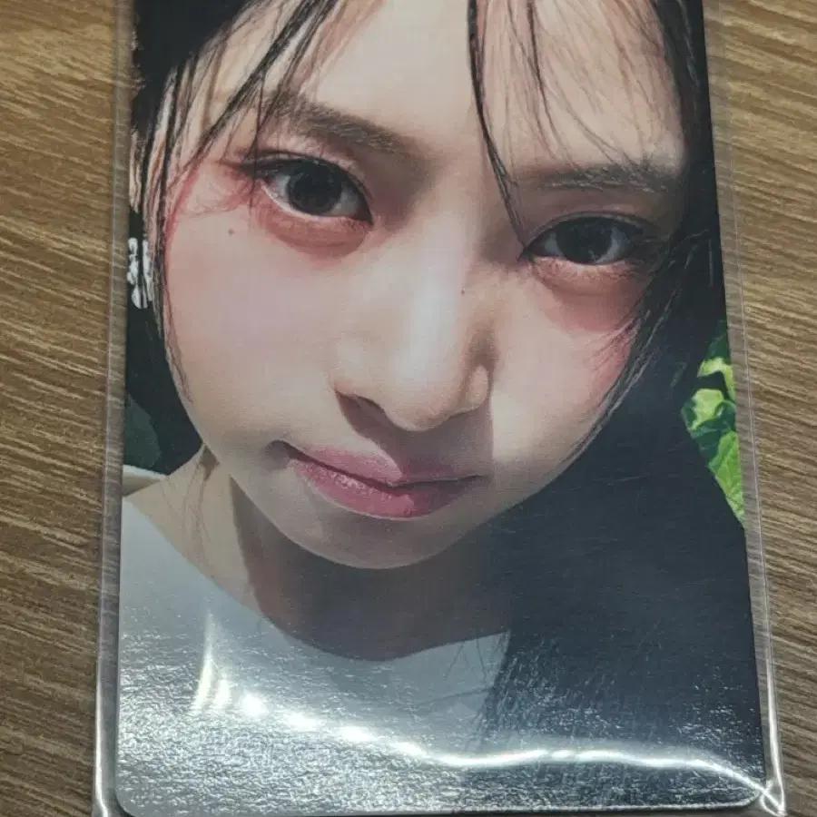리센느 리브 디어리스트 데자부 앨범포카 앨포 포토카드