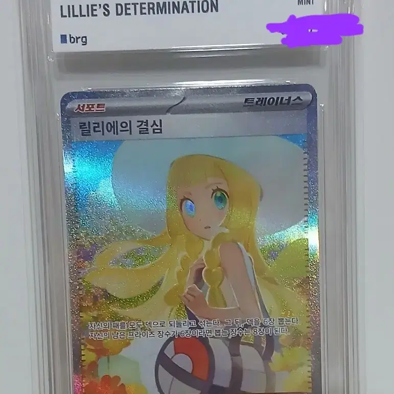 포켓몬카드 릴리에의 결심 sar brg 9등급