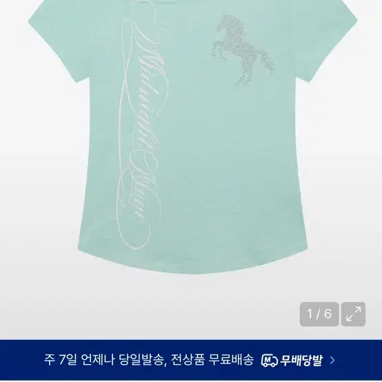 미드나잇무브 홀스 티 cb horse t 민트 mint