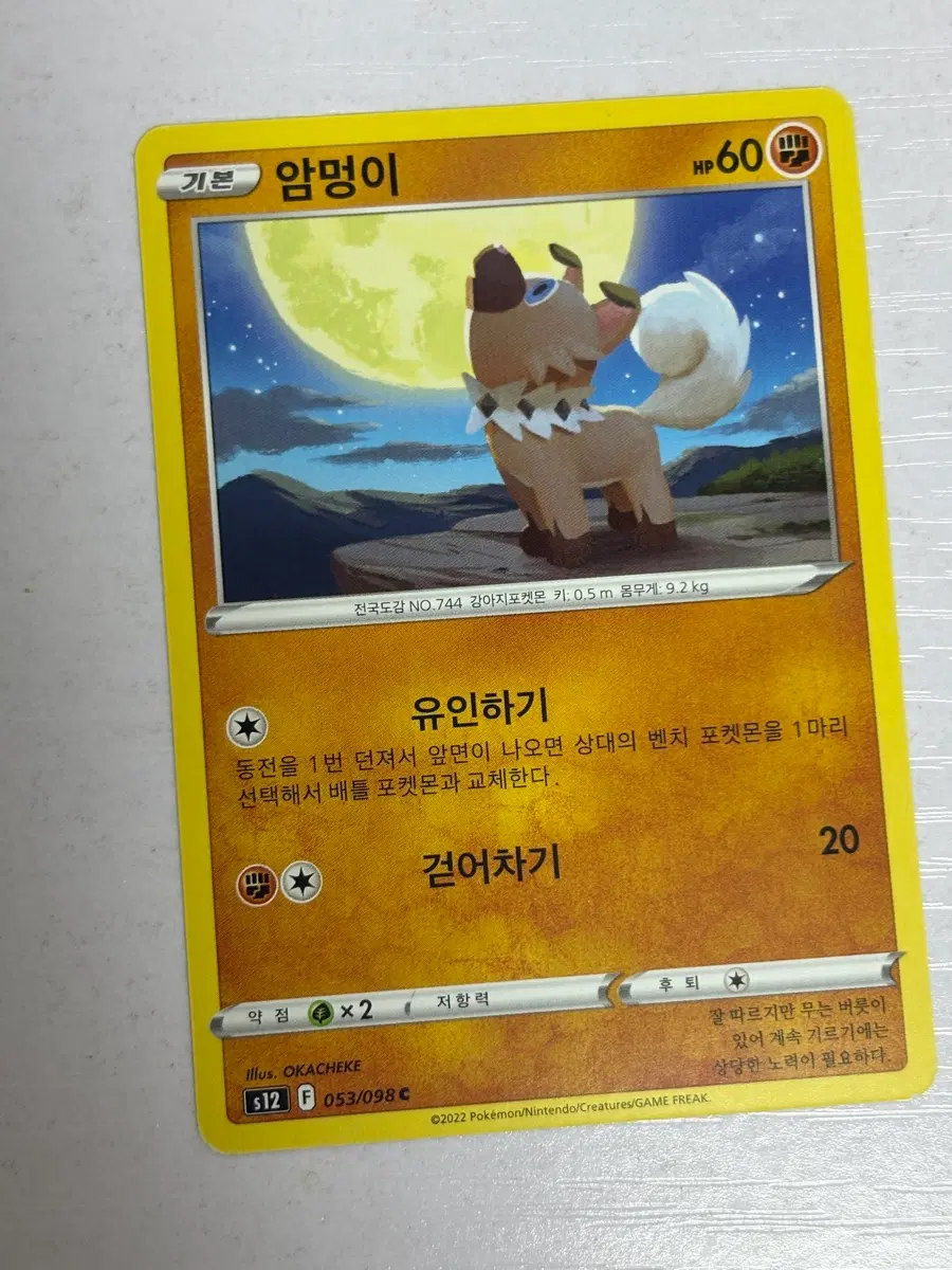 [귀여운 포켓몬카드] 암멍이