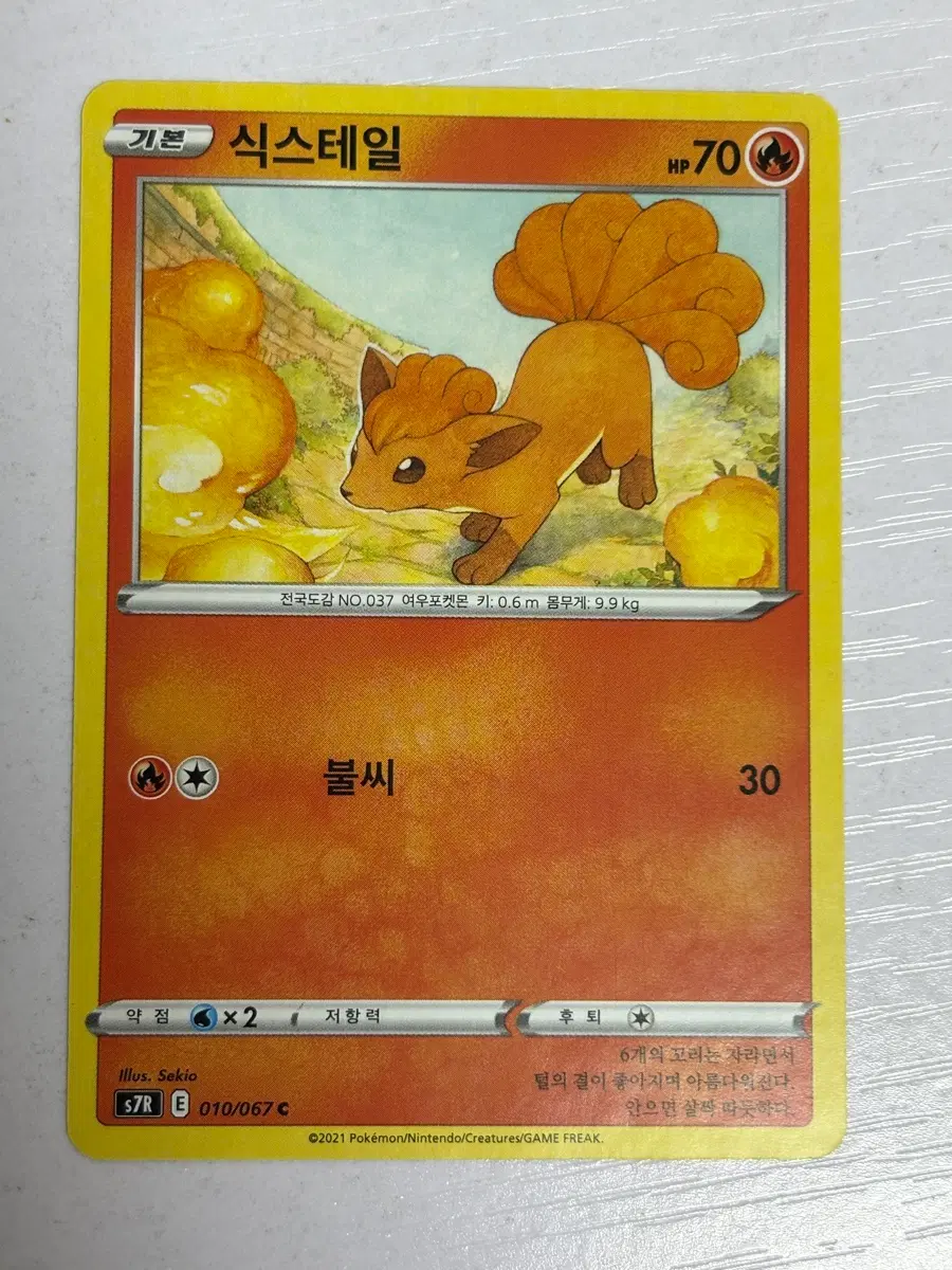[귀여운 포켓몬카드] 식스테일