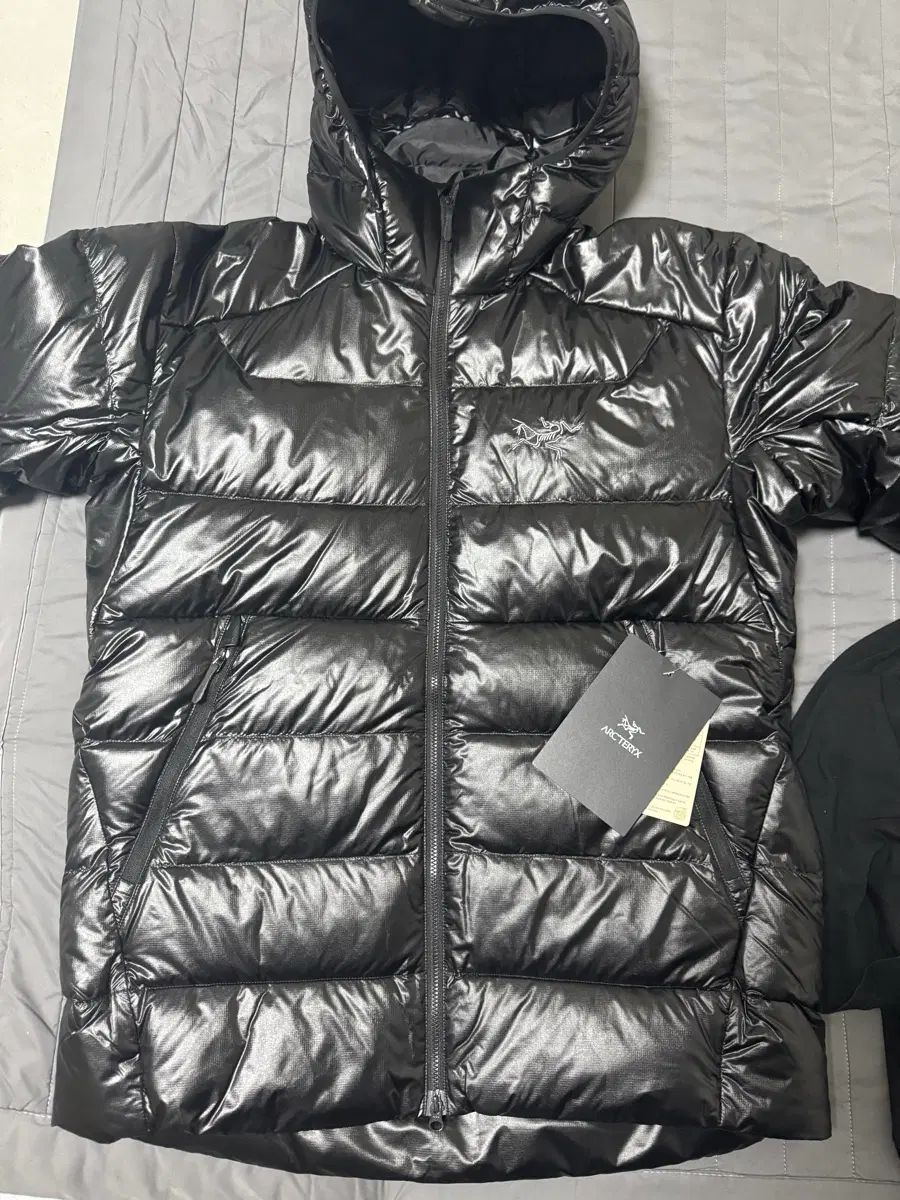 아크테릭스세륨SV후디 M