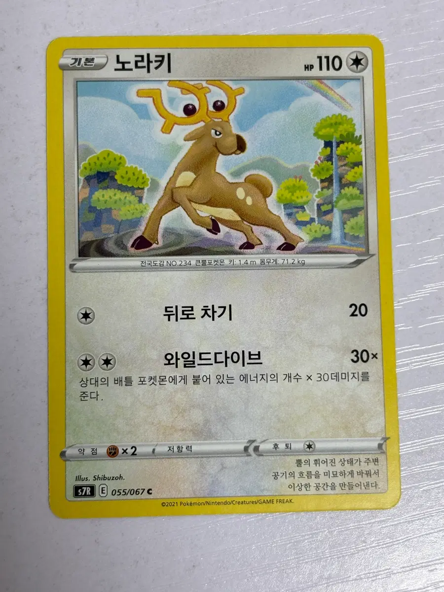 [귀여운 포켓몬카드] 노라키