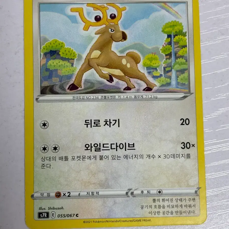 [귀여운 포켓몬카드] 노라키