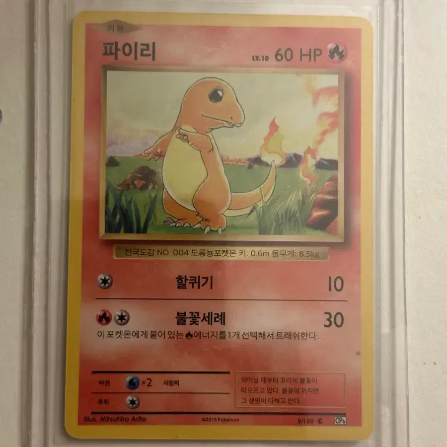 포켓몬카드 1996 초기 파이리