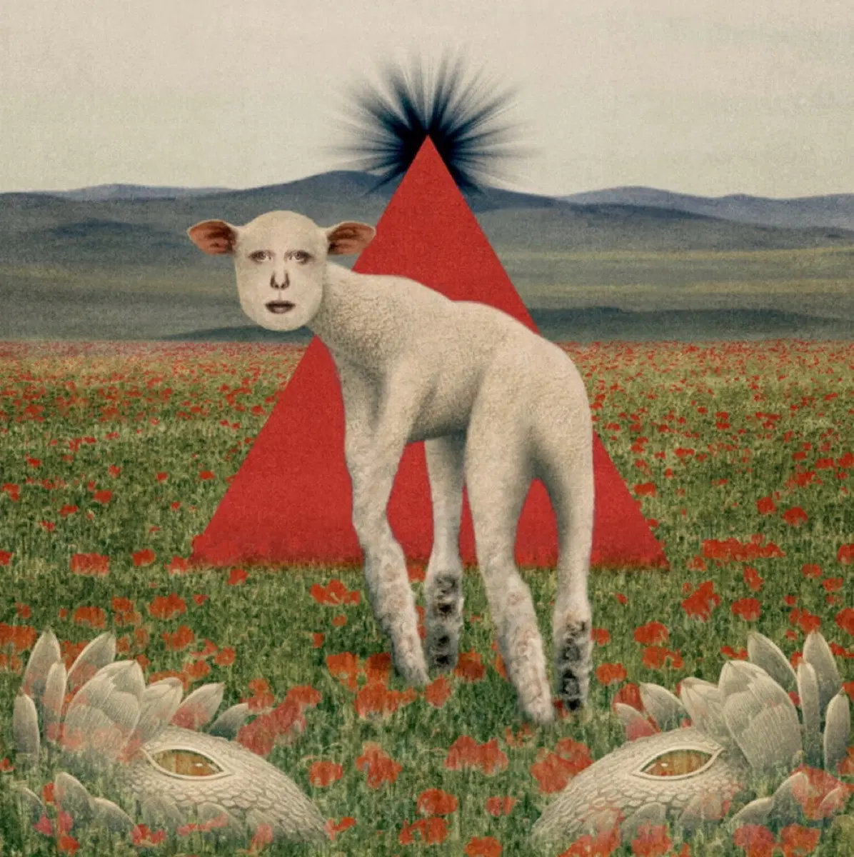 쏜애플 Thornapple 동물 Animal ep 판매합니다