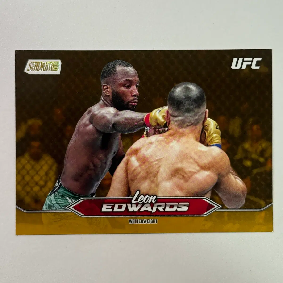 UFC 웰터급 리온 에드워즈 스타디움 UFC 카드